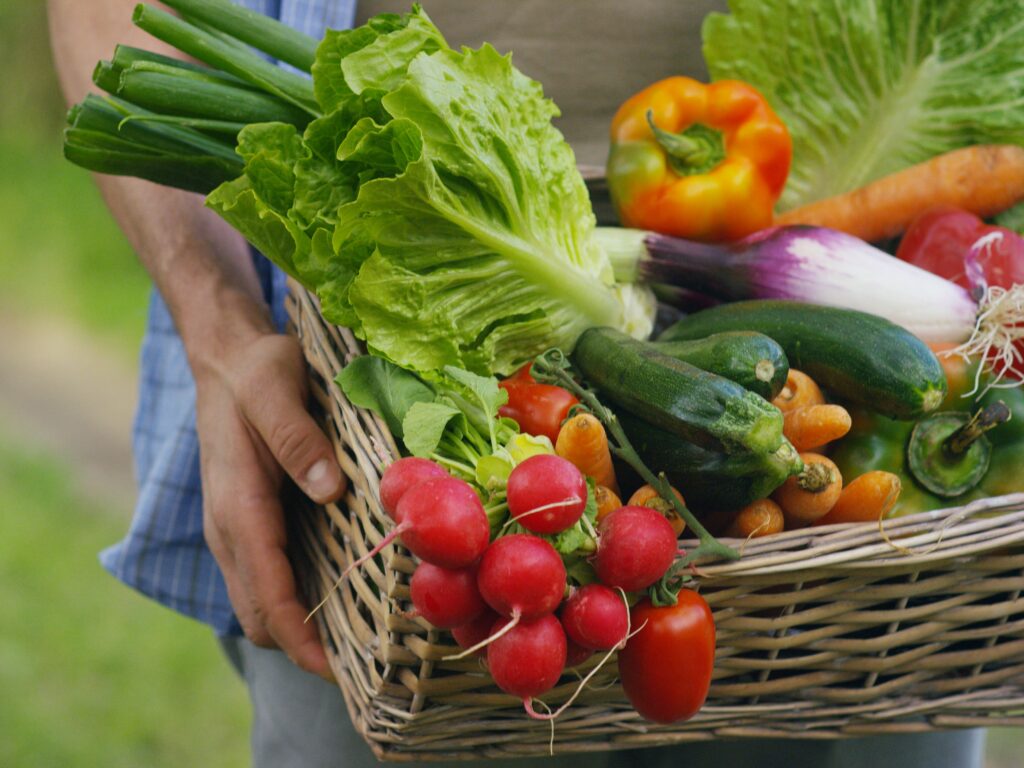 Creating a Sustainable Garden - a Step by Step Guide