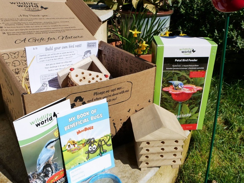 Best Products to Enjoy Your Garden All Year