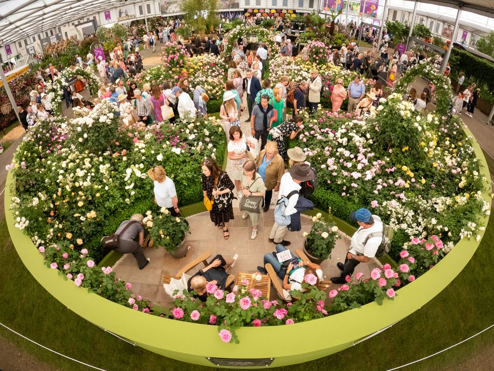 Looking Ahead to The RHS Chelsea Flower Show 2024